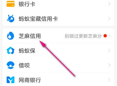 支付宝如何查看芝麻分租物记录 支付宝查看芝麻分租物记录方法【教程】