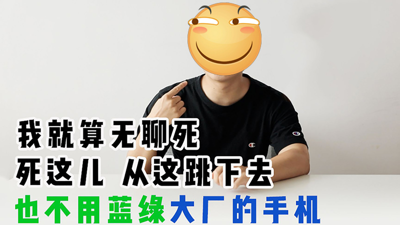 蓝绿大厂的核心价值到底在哪里？