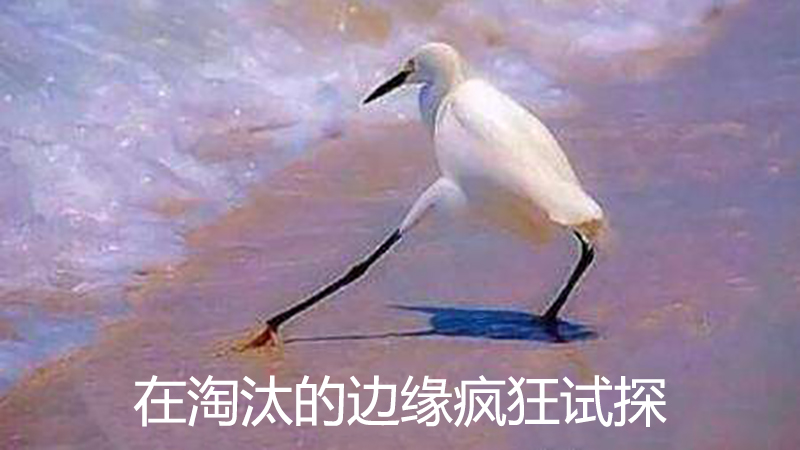 哪个手机品牌，接下来最有可能凉凉？
