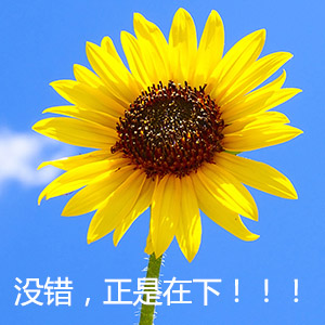 诺基亚说：如果我的摄像头足够多，就能拍出人心的复杂