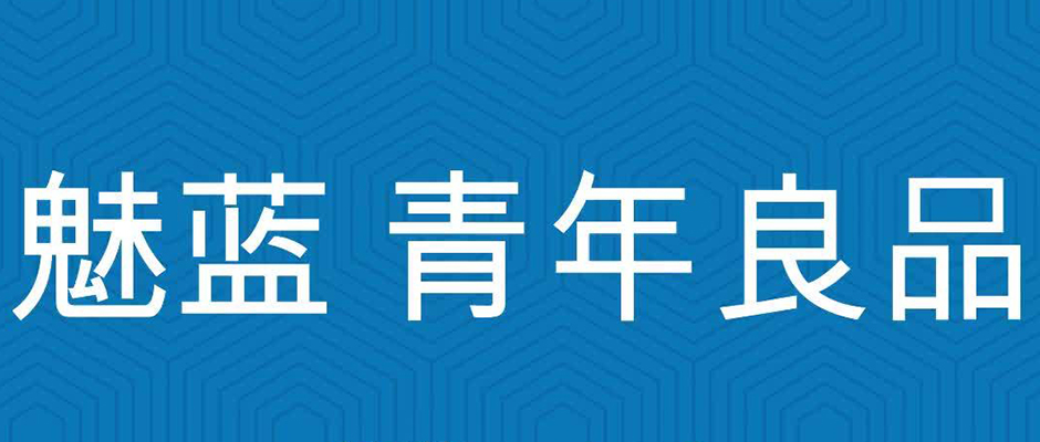 别了，魅蓝！