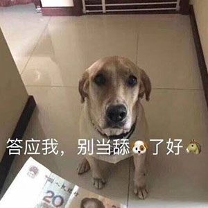 我常常因为自己不够沙雕，而感觉和你们格格不入！