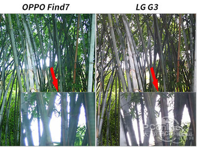LG G3/OPPO Find7拍照对比