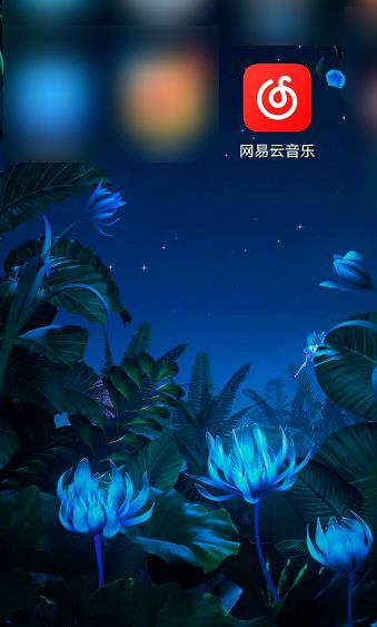 网易云音乐在哪查看音乐排行榜 网易云音乐查看音乐排行榜方法【详解】