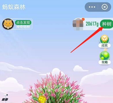 支付宝蚂蚁森林限时能量雨获得及使用方法【详细介绍】
