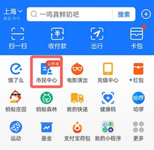支付宝怎么查询养老金缴费记录 支付宝查询养老金缴费记录方法【教程】