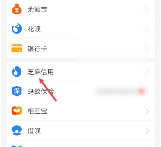 支付宝芝麻信用客服怎么联系 支付宝芝麻信用客服联系方法【教程】