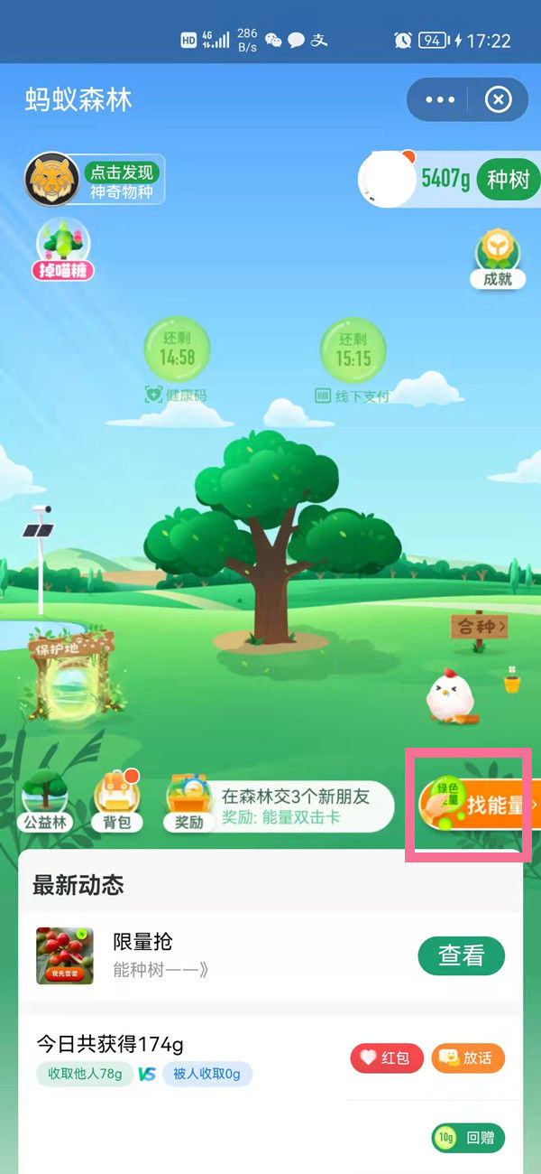 支付宝能量雨怎么开启 支付宝能量雨开启方法【详解】