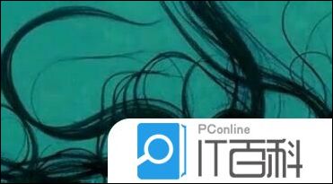 AE键控中去除头发丝边缘的背景色的教程【详解】