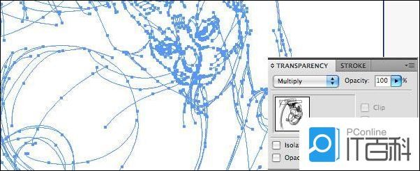 AI怎么绘制一只灌篮猫 AI绘制灌篮猫插画教程【详解】