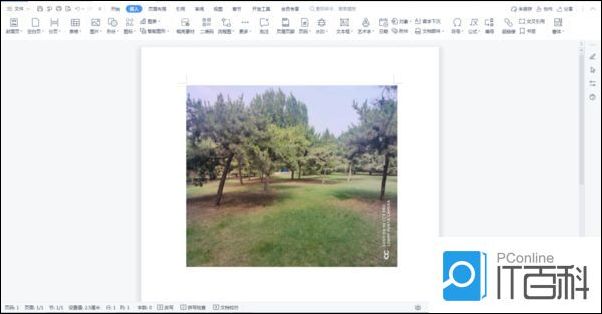 Word文档图片如何添加上文字 Word文档图片添加上文字方法【详解】