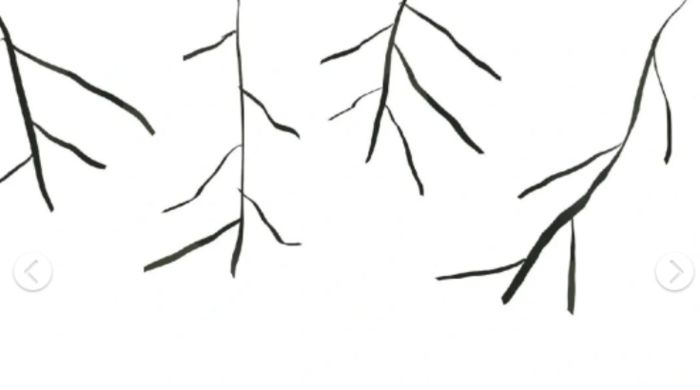 procreate怎么绘制静谧系列插画 procreate绘制静谧系列插画方法【详解】