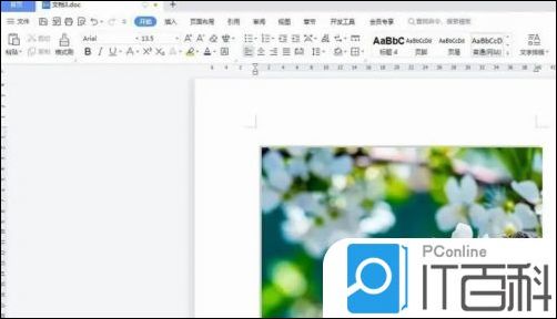 WPS2019怎么取消图片阴影 WPS2019取消图片阴影方法【教程】
