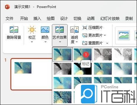 PPT2021怎么给图片设置标记艺术效果【操作方法】