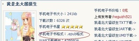 iBook支持什么格式