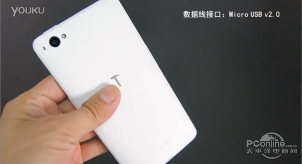 小锤子背部实图