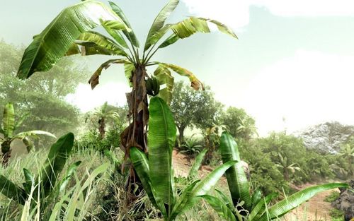 孤岛危机游戏截图