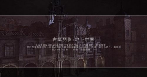 古墓丽影8游戏截图