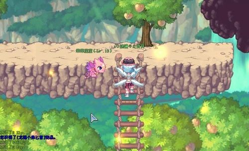 彩虹岛配置要求1